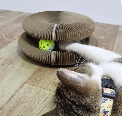 Slide image ebf89aa1492a4d9491c473b228fab0e5