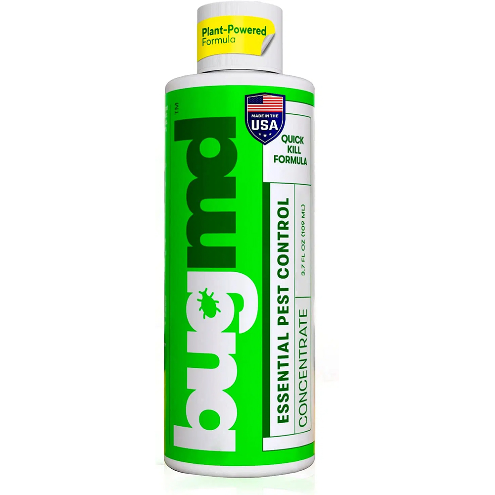 Slide image d7e4bcca397d4bd5a4538869b303eb27