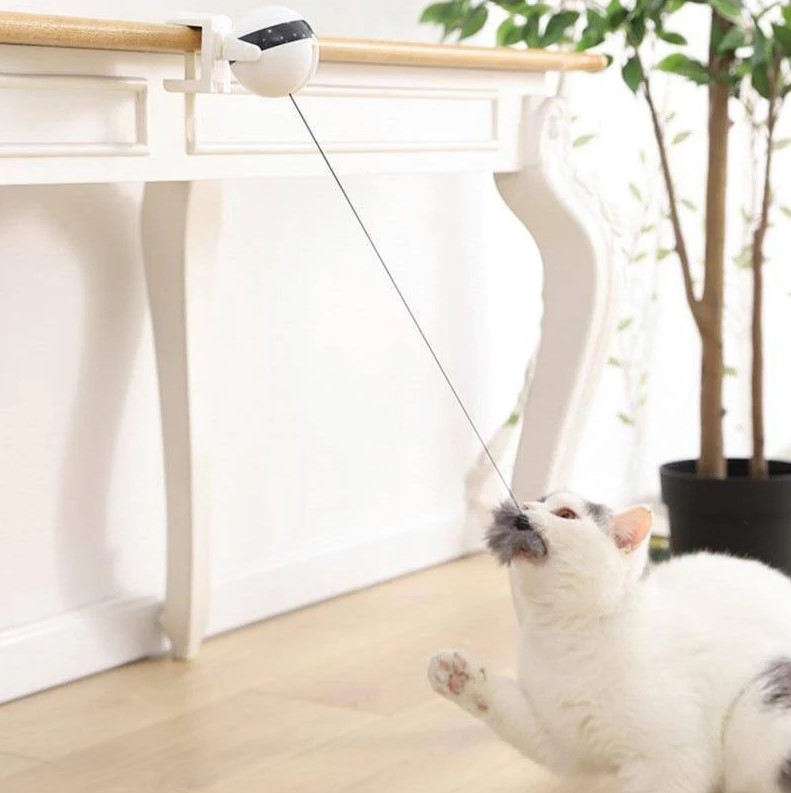 Slide image f6a208107d1b4221bb3551518b168582