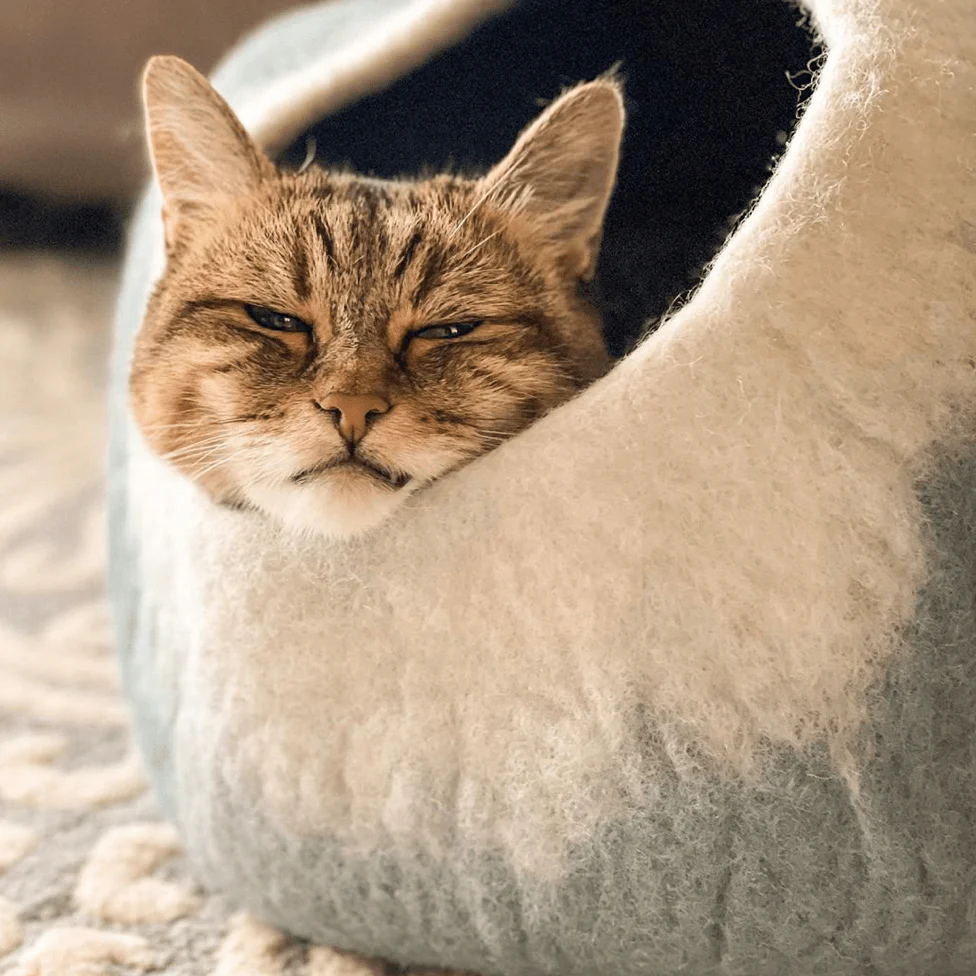 Slide image ce856078d19f4f56a674aa81f5bd2699