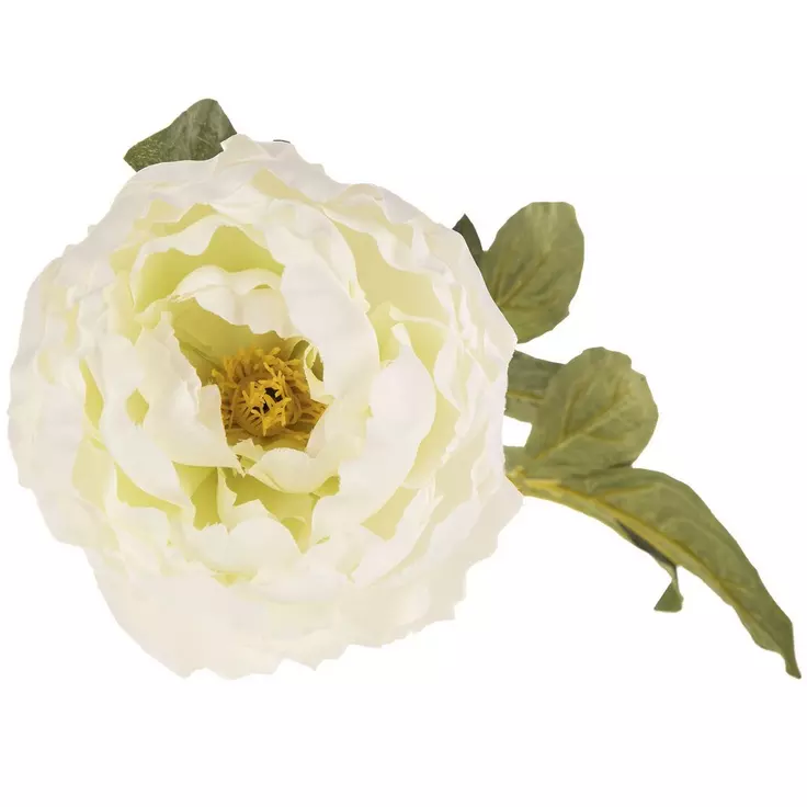 Slide image 5dfa9a99683040b1b57aff5c72d2c5d4