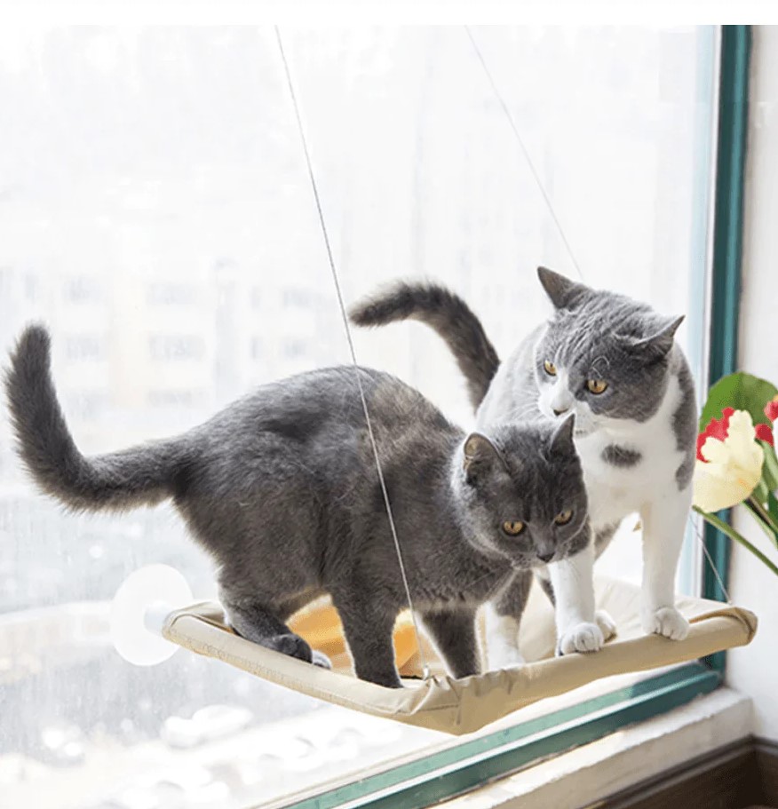 Slide image 9a319654a6484bb88c5fea2b7ad1a458