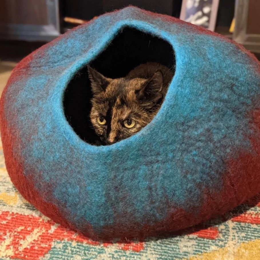 Slide image da583fc98e184c439a0edacbfe79a1e3