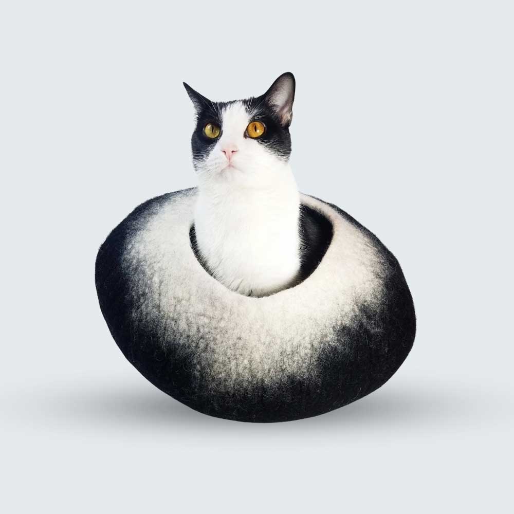 Slide image 9b0a6fe27a994c68941d324a148deb52