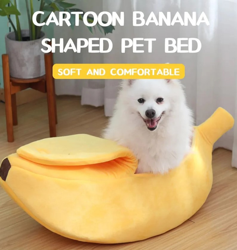 Slide image 16935e3da9884367a5253d9ae5b44daa