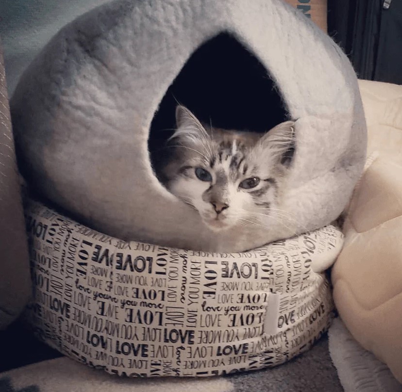 Slide image 818e961e7033498b90a5d9b3d170116c