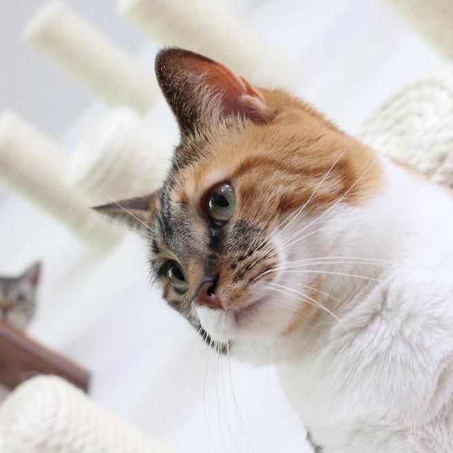 Slide image 681b98e506d943f6ba7da793077eda00