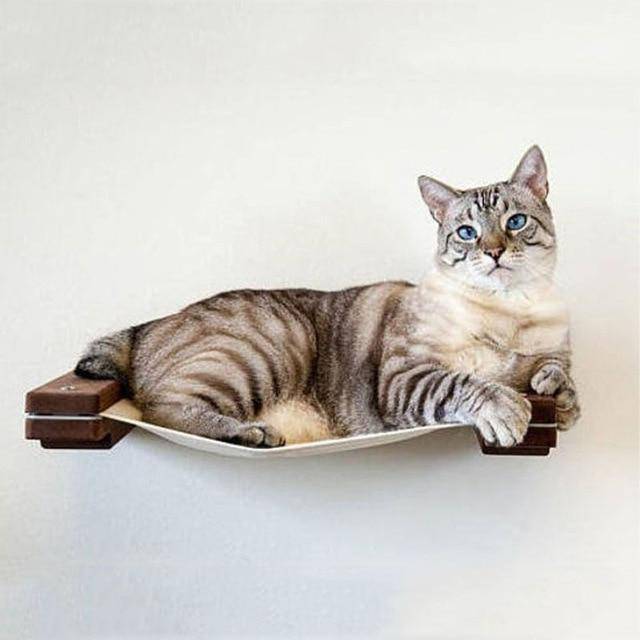 Slide image fee62713851444049eab5e4704462633