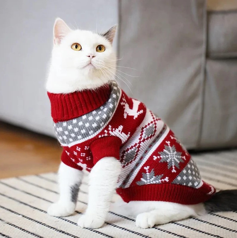 Christmas Cat Sweaters