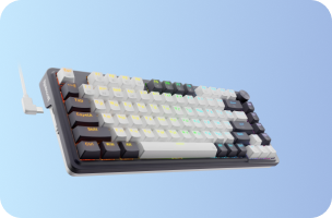 Computer Peripherals