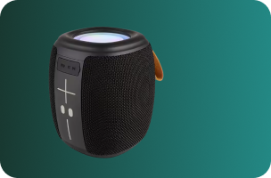 Portable Audio & Video