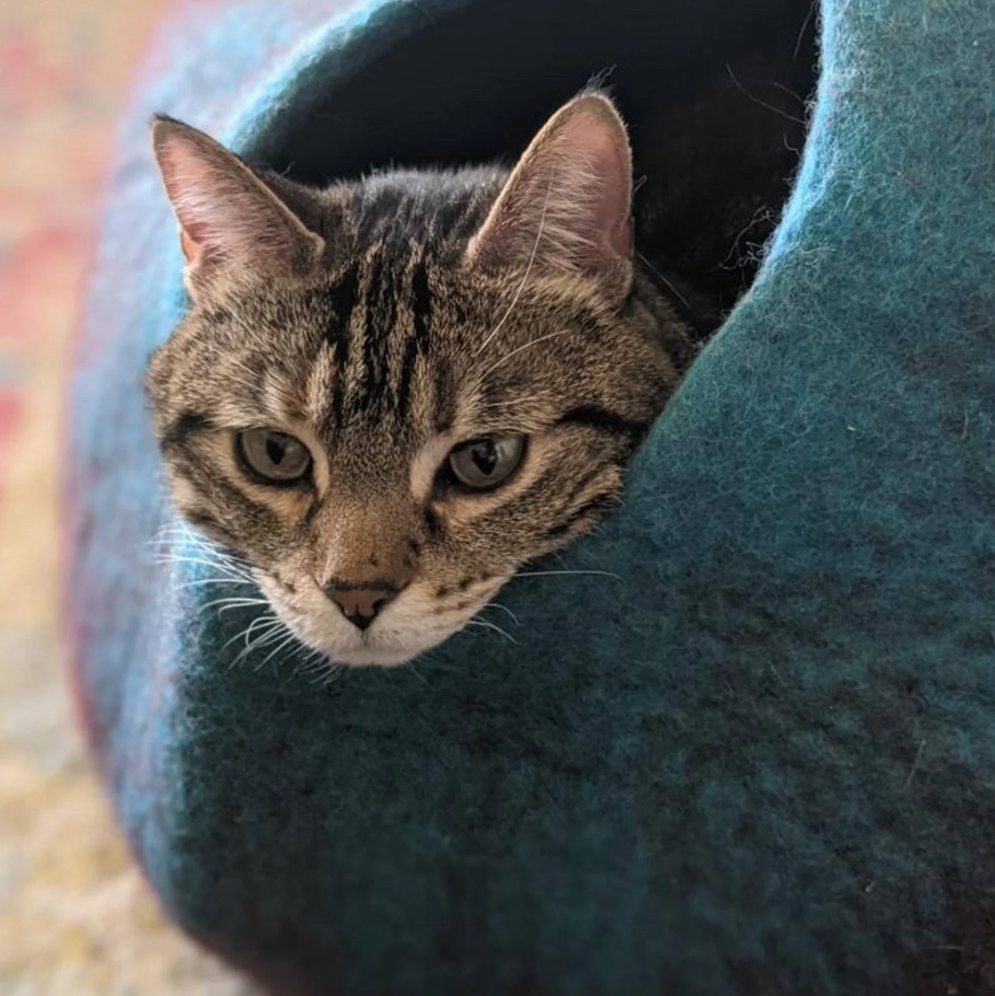 Slide image 7397906f622f44d982c742875a94399b