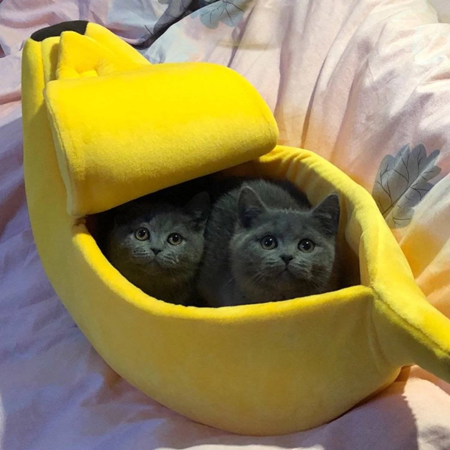 Cute Cat Banana Bed