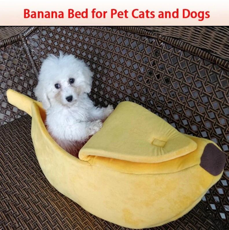 Slide image bf5377e9af7d41da8b37f2ad3feff53f