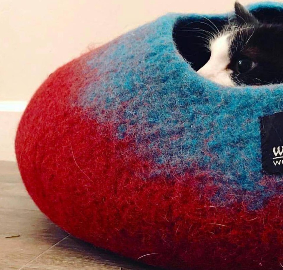 Slide image a1199b30e47a4890a487d37ee2fb3620