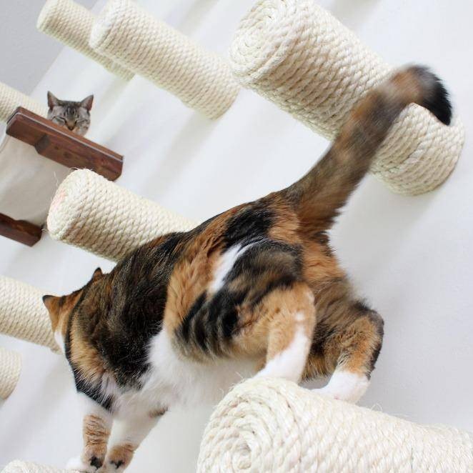 Slide image 53955f7396e6465f9ee156ff6998762c