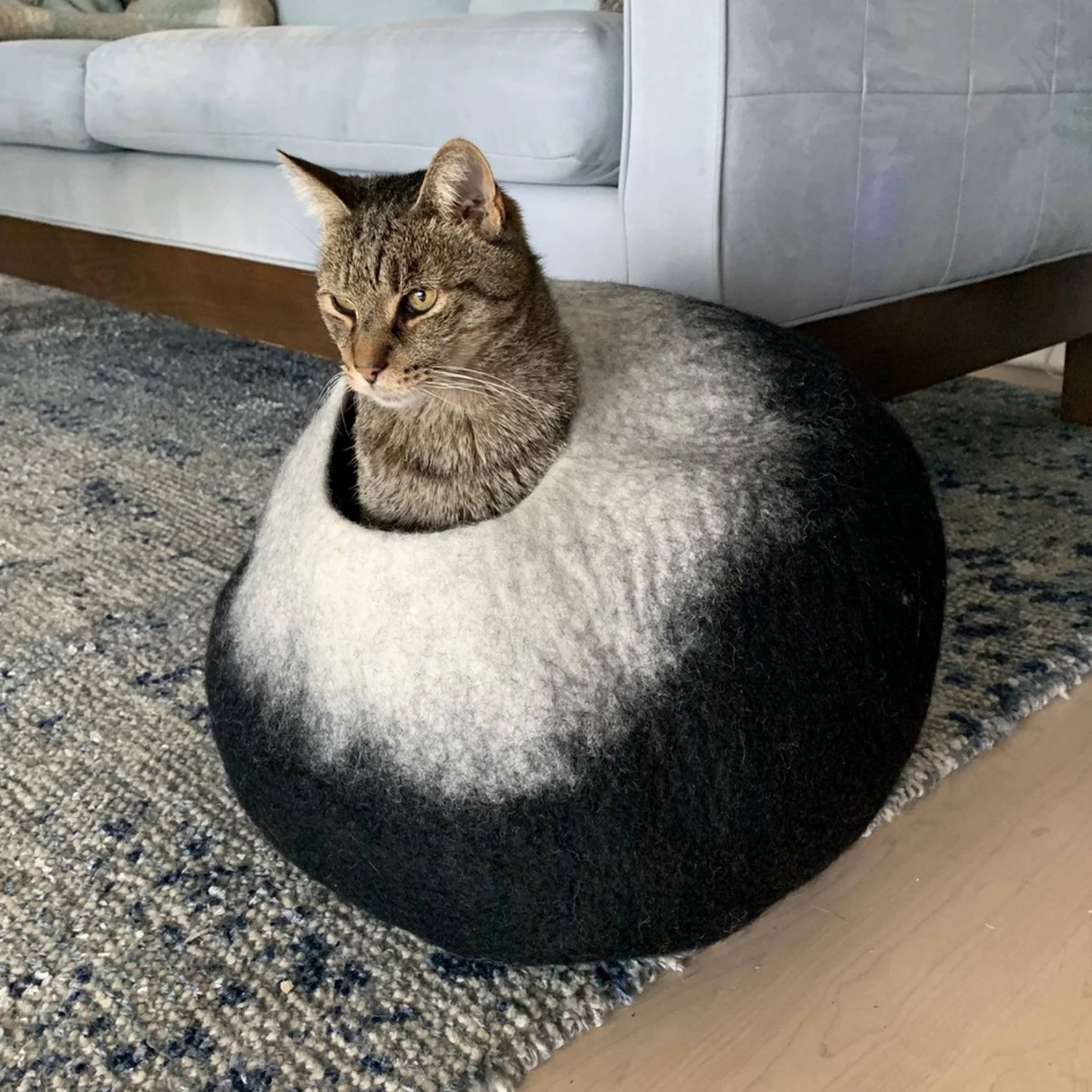 Slide image 417fec4fa0444d4d99b1d7395a0dd5e9