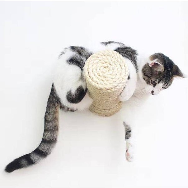 Slide image b1c1d870613044ad8f3cd6e307b1da8c