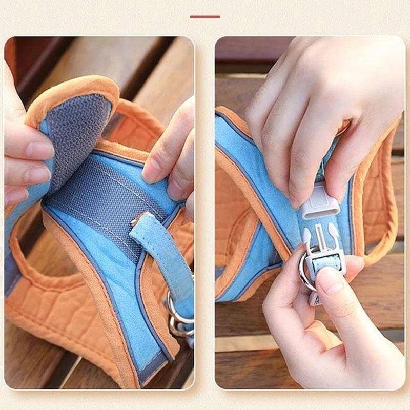 Slide image 0f29739569fd4b449d2649326938a441