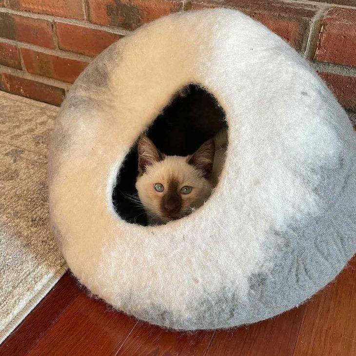 Slide image 6609e3d0d3cb429585c8b20ae1e49a5f