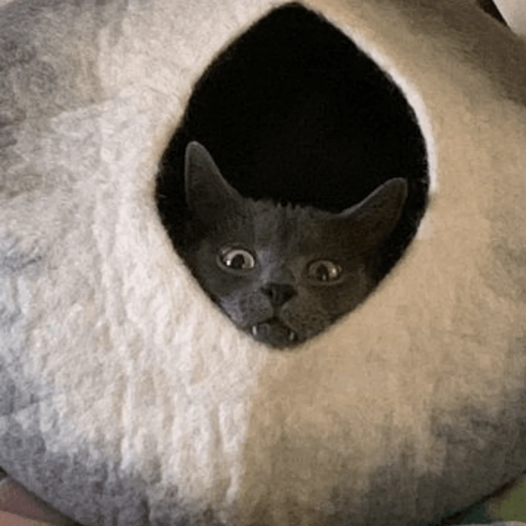 Slide image 259aa9f10e5f48c8a10123eb6fbf1fd2