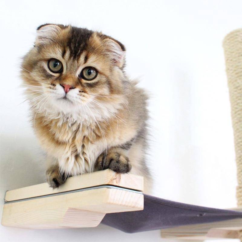 Slide image 5a8bc3f28d1c41ae9e0e1b948f8b8382