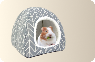 Small Animal Supplies