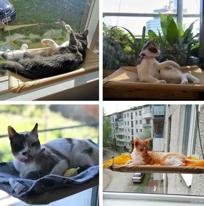 Slide image 9f877bfa5965416b92558c08bc8b0f1e