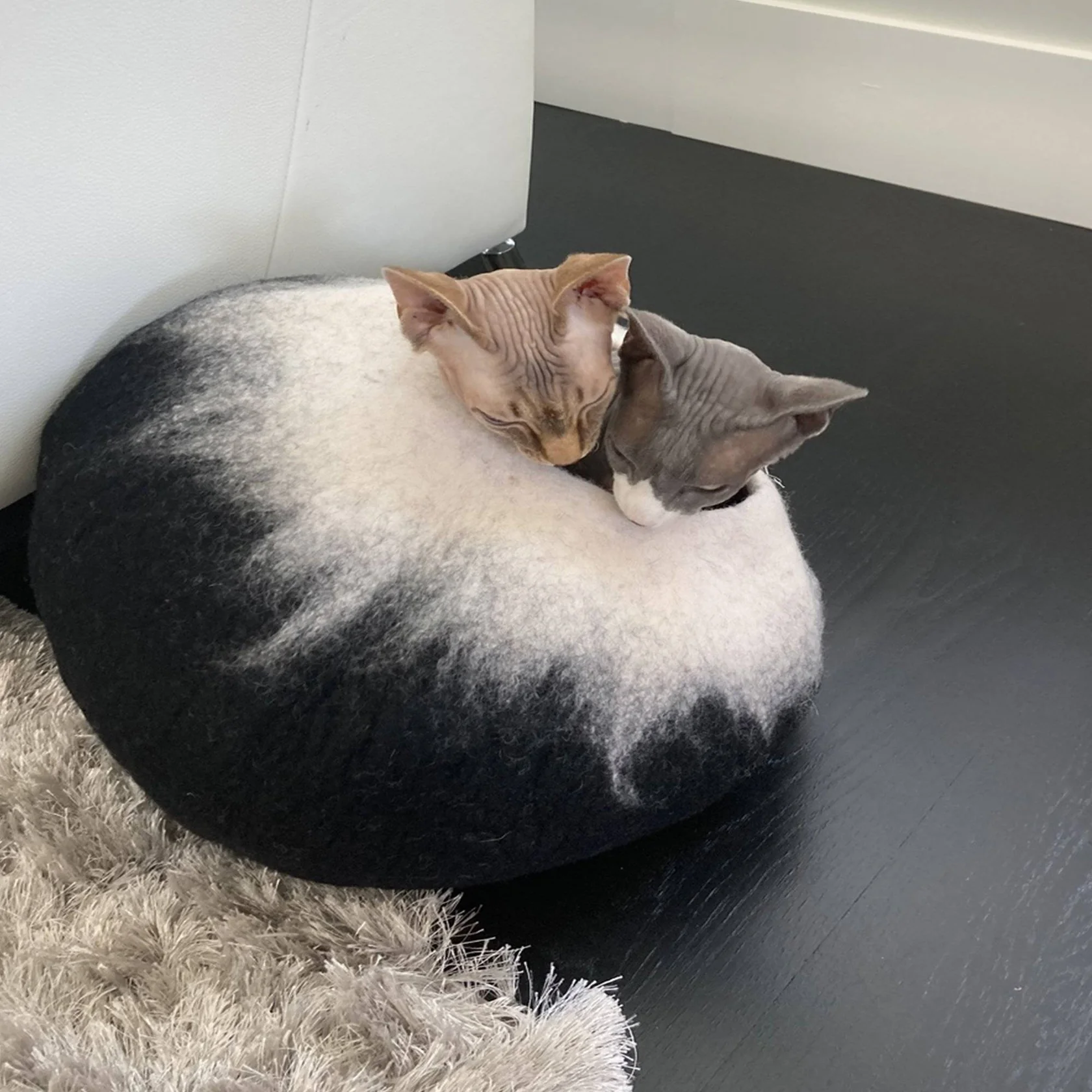 Slide image d01e7008639346a8824612d2506a484d