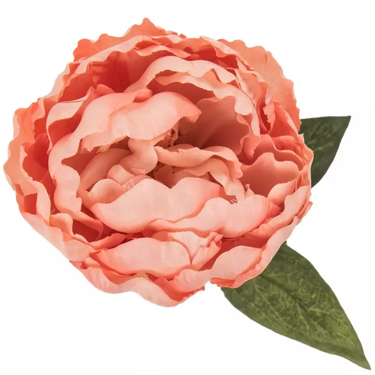 Slide image d330b6ee1a7d40408619d12b92d8d714