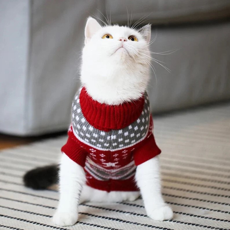 Slide image 48fad5ab54ff4c11a48c62f6094e139f