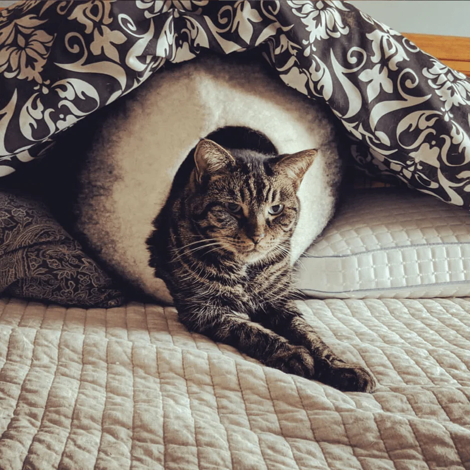 Slide image 897709f2aa9e4db2aa31c1588610708d