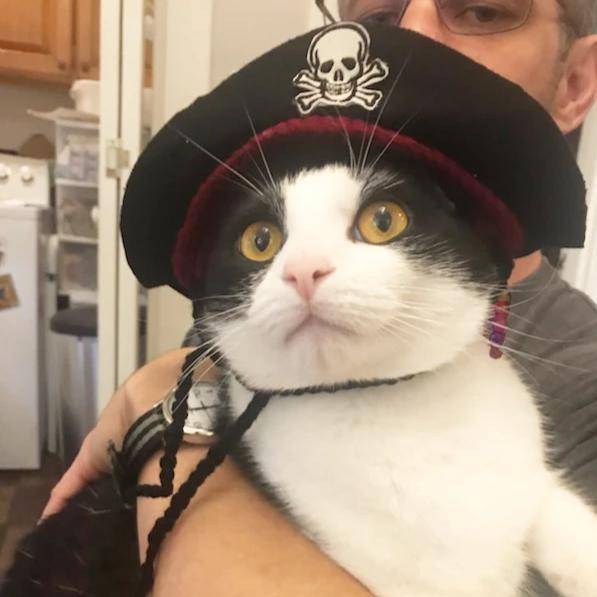 Slide image 57b9dc2c538e4bb1b5703c9847a5785c