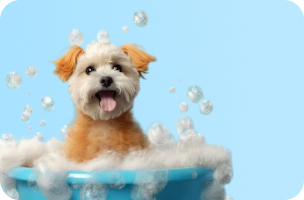 Pet Health Care & Hygiene