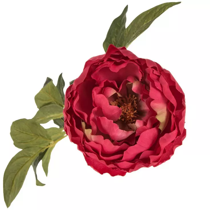 Slide image ca4a14c1d0a44ddcac78be0a6da7c901