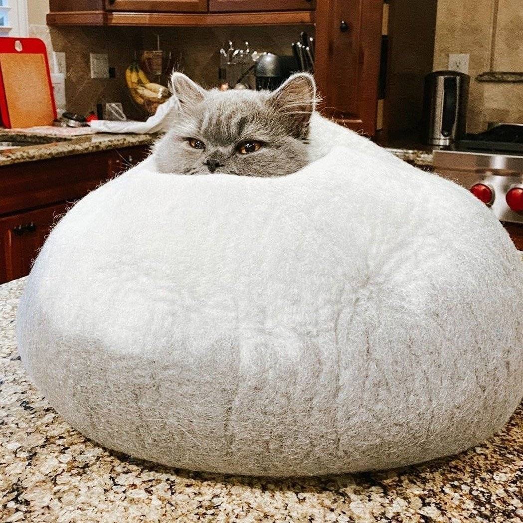 Slide image 1c4c3487c47840c28f134c7c2226b89e