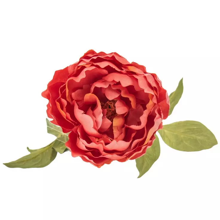 Slide image 720944a7901d499285021cf96a7e2064